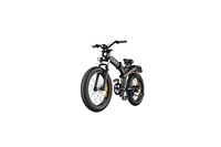 Engwe X24 1200W(Peak) 93Miles Triple Suspension Foldable E-bike - Dual Batteries