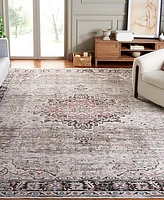 Safavieh Antique Patina ANP642B 9'x11'6" Area Rug