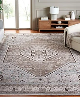 Safavieh Antique Patina ANP646M 10'x12'9" Area Rug