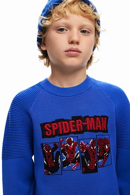 Desigual Boys Boys's Spiderman sweatshirt without hood