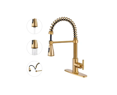 Casainc 1.8 Gpm Britt Commercial Style Pull Down Single Handle Kitchen Faucet