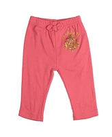 Harry Potter Baby Girls Hedwig Owl 2 Pack Pants Newborn to