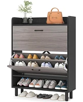 Tribesigns Shoe Cabinet, 2