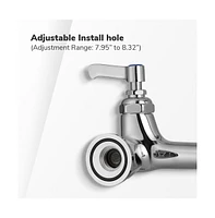 Aquaterior Pre-Rinse Brass Wall-mount Faucet w/ 12" Add-On Faucet Restaurant Cupc Nsf
