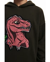 Desigual Boys Boys's Dinosaur sweatshirt