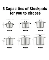 Cook N Home 20 Quart Professional Stainless Steel Stock Pot with Stay-Cool Handles, silver