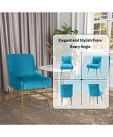 Boyel Living Velvet Dining Chair with Pulling Handle and Adjustable Foot Nails(Set of 2)