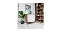 Tribesigns 2-Drawer File Cabinet, Lateral Filing Cabinet for A4/Letter/Legal Size, Office Storage Printer Stand with Drawer Home