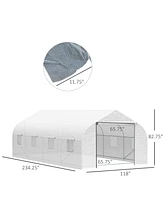 Streamdale Furniture 20' x 10' Outdoor Walk-in Greenhouse with Roll-up Windows and Steel Frame