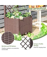 Skonyon Raised Garden Bed with Trellis Planter Box for Climbing Plants -Brown