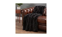 Chanasya Premium Throw Blanket & Pillow Cover - Long Faux Fur Fuzzy Sherpa (50" x 65”) 2 Covers (18" 18”)