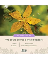 Gaia Herbs St. John's Wort - Natural Stress Support Supplement - With St. John's Wort