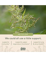 Gaia Herbs Nettle Leaf - Immune, Respiratory, and Sinus Support Supplement - Helps Maintain Upper Respiratory Health - Supports Immune Health