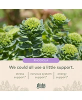 Gaia Herbs Adrenal Health Daily Support - With Ashwagandha, Holy Basil & Schisandra