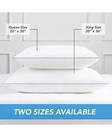 Host and Home Host & Home Hypoallergenic Pillows (2 Pack) - White with Silver Piping, Cotton with Poly Fill - King 20x36 in.