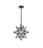 Moose 16 Inch Modern Star Pendant Light Boho Black Hanging Pendant Light