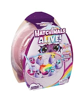 Hatchimals Alive Rainbow Hatchery Toy Figures