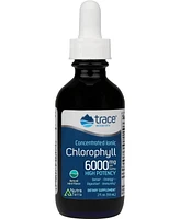 Trace Minerals Concentrated Ionic Chlorophyll | Supports & Immune Function | Antioxidant | Supports Blood & Energy | Mint Flavored | 2.0oz 6,000mg/bot