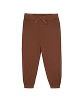 Gerber Toddler Boys Hooded Sweater Top and Pant Knit Set