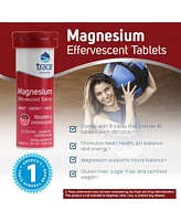 Trace Minerals Magnesium Effervescent Drink Tablets | Magnesium Carbonate | Raspberry Flavor | 150mg per Serving, 80 Tablets