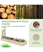 Skonyon Raised Garden Bed with Planter Box and Trellis-Natural