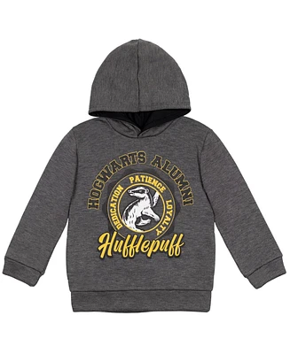 Harry Potter Boys Gryffindor Slyttherin Ravenclaw Hufflepuff Fleece Pullover Hoodie to