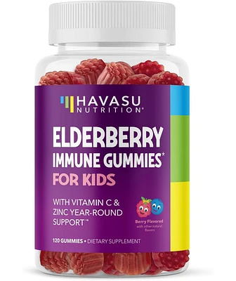 Havasu Nutrition Elderberry Gummies for Kids with Zinc and Vitamin C | Potent, Herbal Immune Support for Kids | 120ct