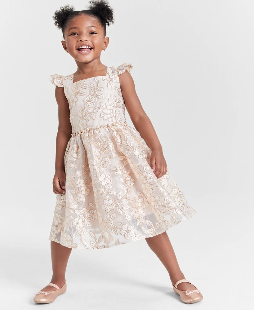 Rare Editions Little Girls Floral Burnout Organza Dress