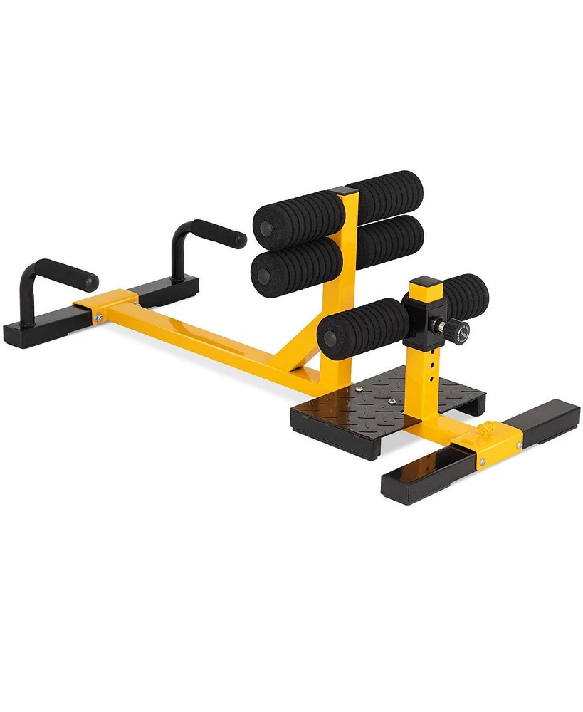 Skonyon 3-in-1 Sissy Squat Ab Workout Home Gym Sit-up Machine