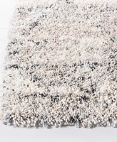 Safavieh Fontana Shag FNT886F 4'x6' Area Rug