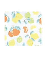 Hudson Baby Infant Girl Cotton Poly Flannel Receiving Blankets Bundle, Citrus Mint, One Size