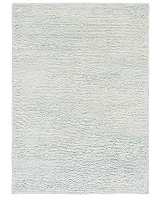 Safavieh Casablanca 702 CSB702M 8'x10' Area Rug