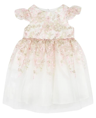 Rare Editions Baby Girl Floral Embroidered Mesh Party Dress