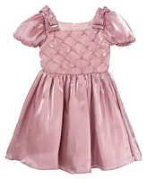 Rare Editions Toddler & Little Girls Shimmer Organza Social Dress