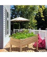 Wooden Raised Vegetable Garden Bed Elevated Grow Vegetable Planter