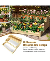 3-Tier Raised Garden Bed Wood Planter Kit for Flower Vegetable Herb