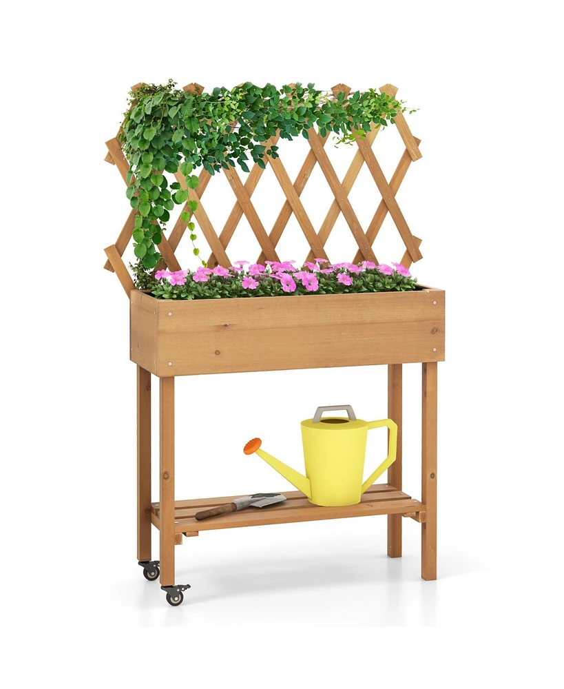 Skonyon Wooden Rolling Raised Garden Bed with Trellis and Storage Shelf