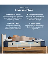 Serta iComfortPro Ambrose 13" Latex Foam Plush Mattress Set