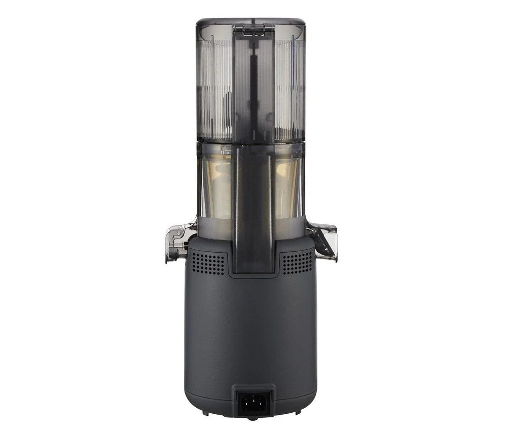 Hurom H310 Personal Easy Clean Slow Juicer