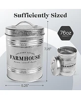 Amici Home Farmhouse Galvanized Metal Canister