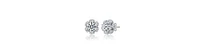 Genevive Sterling Silver White Gold Plated with Clear Cubic Zirconia Flower Halo Stud Earrings