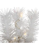 Northlight Pre-Lit Alaskan Pine Artificial Christmas Wreath 36 - Inch Warm White Led Lights