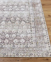 Livabliss Lorelai Vvlo-2300 8'10"x12' Area Rug