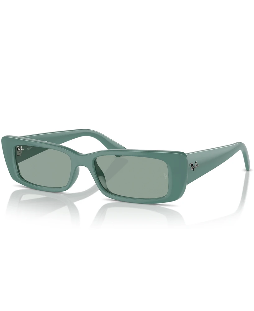 Ray-Ban Unisex Teru Sunglasses, RB4425