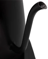 Haden Gooseneck 6 Liter Pour Over Cordless Digital Electric Kettle