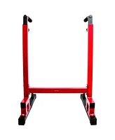BalanceFrom Fitness BalanceFrom Multi-Function Home Gym Exercise Dip Stand, 500lb Capacity