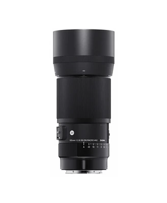 Sigma 105mm f/2.8 Art Dg Dn Macro Lens for L-Mount