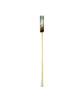 Charcoal Companion Smores Marshmallow Sticks (Set of 4)