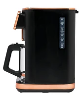 Haden Dual Brew 12-Cup Hot Iced Digital Drip Coffee Maker