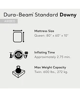 Intex 10 Inch Dura Beam Rectangular Standard Downy Air Mattress, Queen (2 Pack)